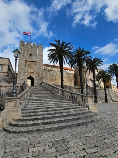 WhatsApp Image 2026-03-11 at 13.16.30.jpeg